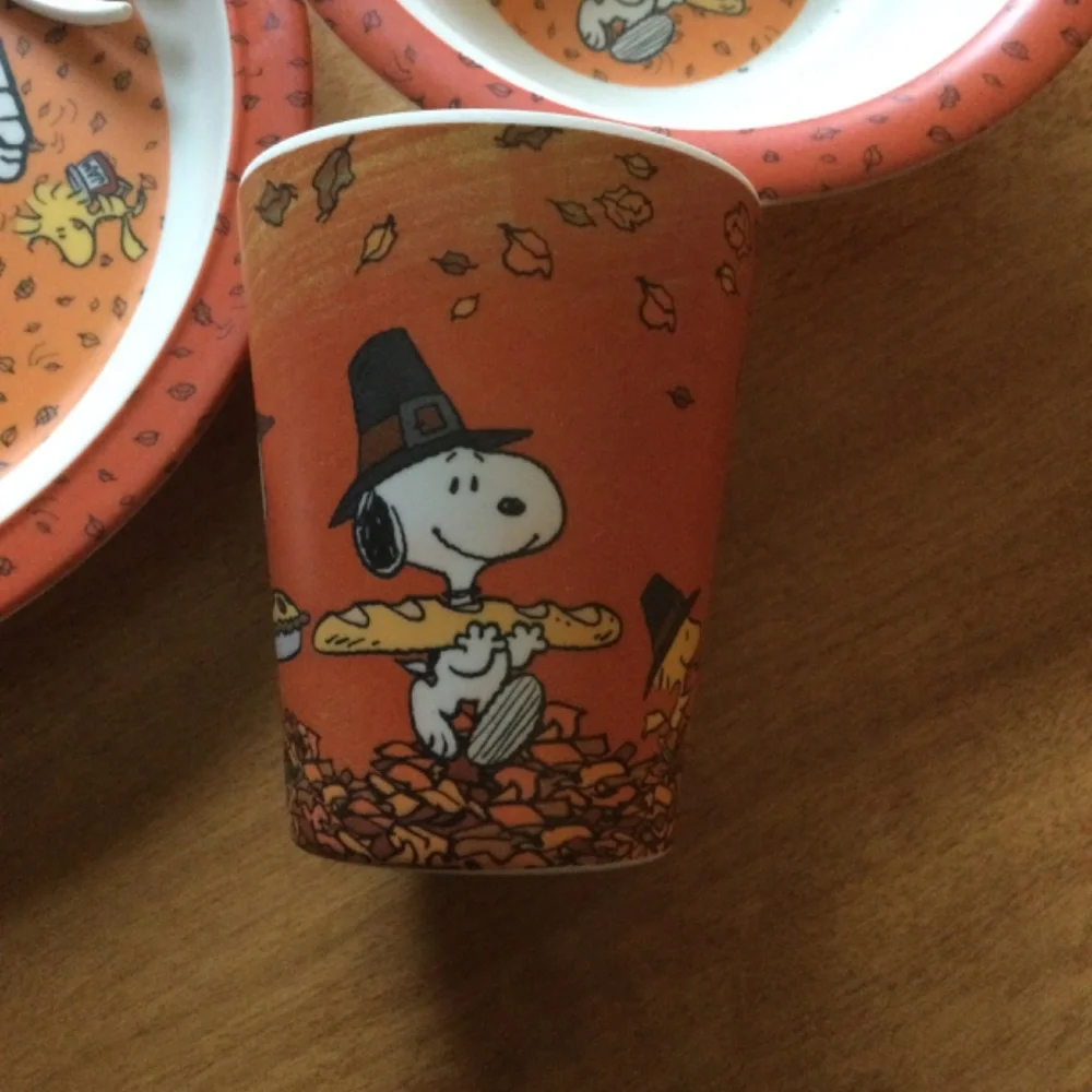 PEANUTS Childs thanksgiving place setting. - Picture 3 of 3